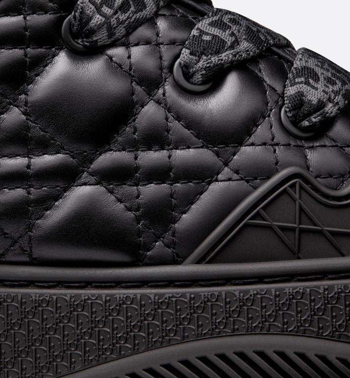 Кроссовки Dior Bs By Erl Черные F