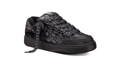 Кроссовки Dior Bs By Erl Черные F