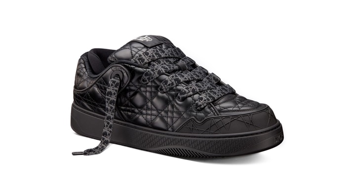 Кроссовки Dior Bs By Erl Черные F