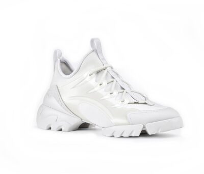 Кроссовки Dior D connect F