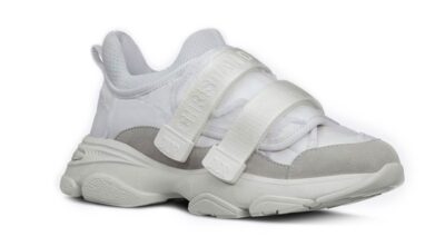 Кроссовки Dior D wander Белые F