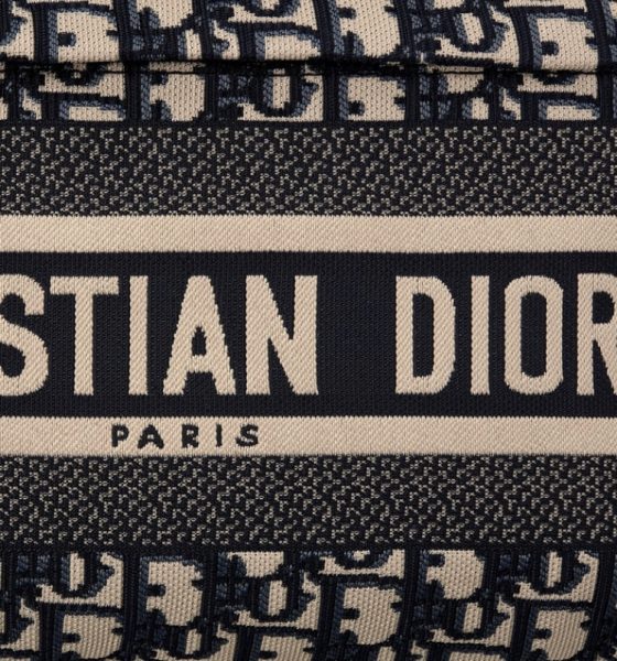 Рюкзак Dior Travel Темно синий N