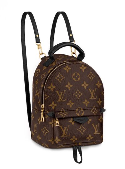 Рюкзак Louis Vuitton Palm Springs Mini Коричневый N