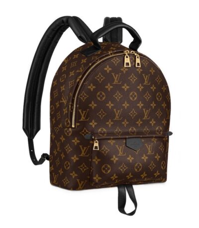 Рюкзак Louis Vuitton Palm Springs Mm Коричневый N