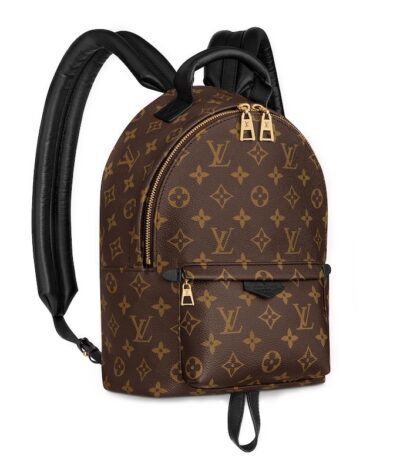 Рюкзак Louis Vuitton Palm Springs Pm Коричневый N