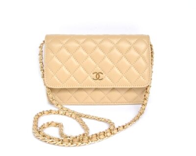 Сумка Chanel Wallet On A Chain N