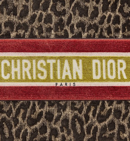 Сумка Dior Book Tote Коричнево бежевая N