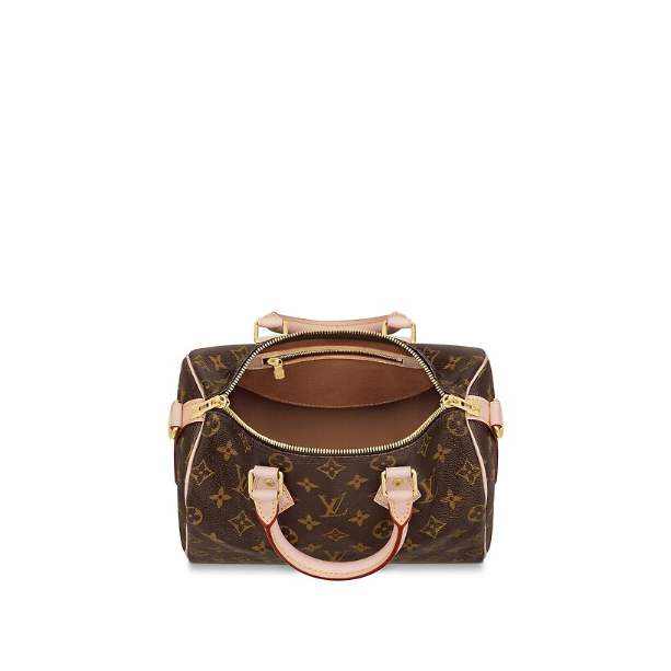 Сумка Louis Vuitton Speedy N