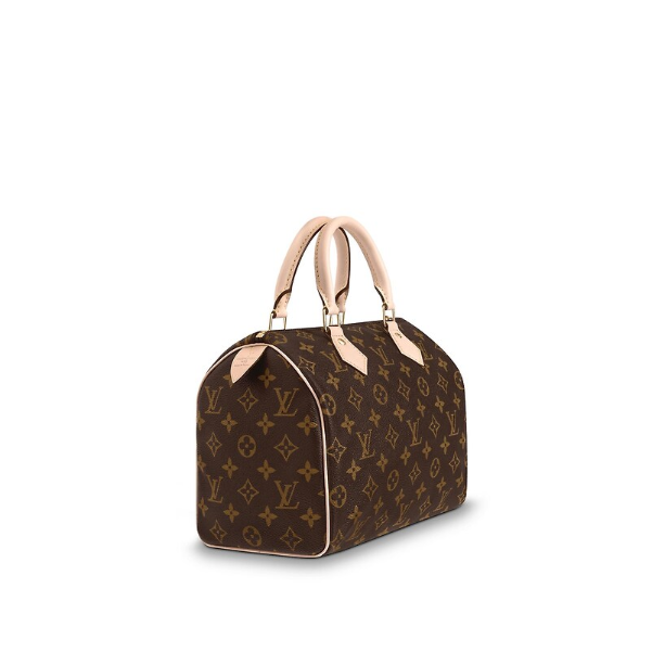Сумка Louis Vuitton Speedy N