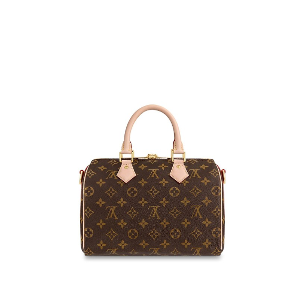 Сумка Louis Vuitton Speedy N