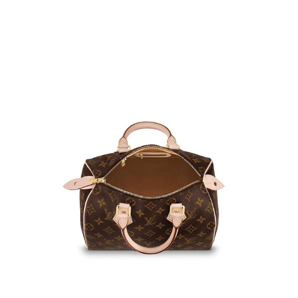 Сумка Louis Vuitton Speedy N