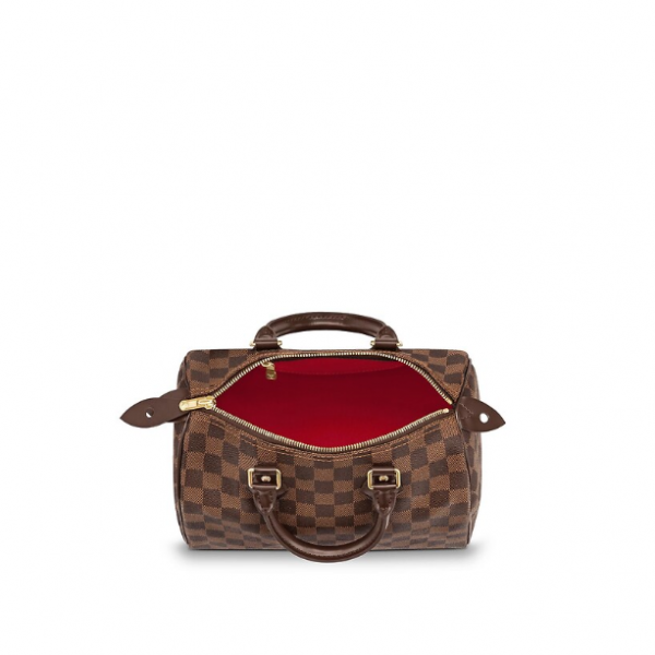 Сумка Louis Vuitton Speedy N