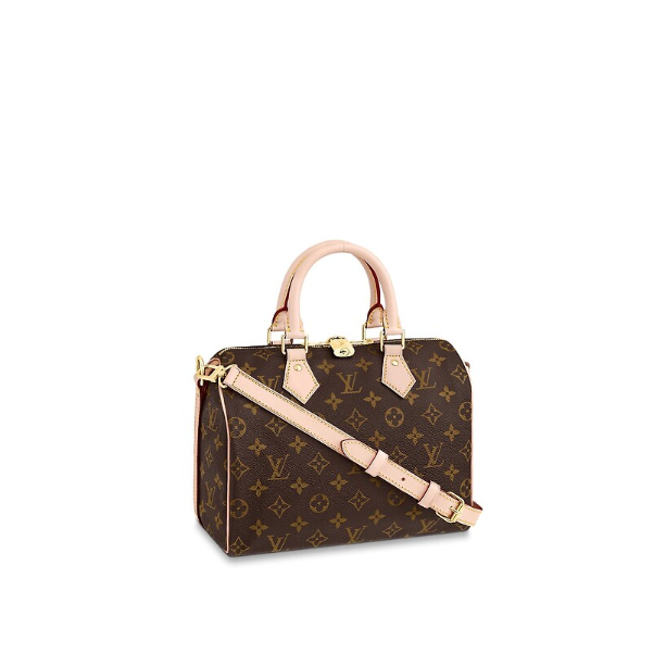 Сумка Louis Vuitton Speedy N