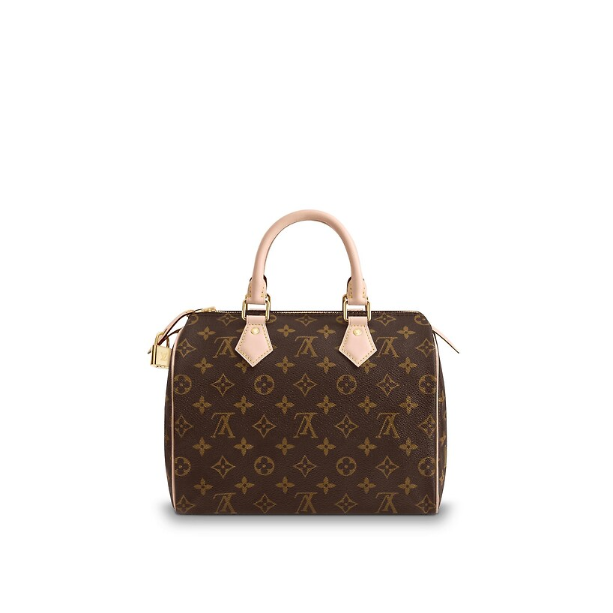 Сумка Louis Vuitton Speedy N