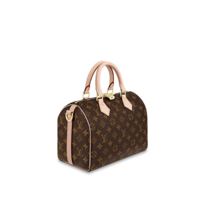 Сумка Louis Vuitton Speedy N