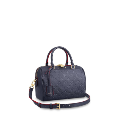 Сумка Louis Vuitton Speedy N