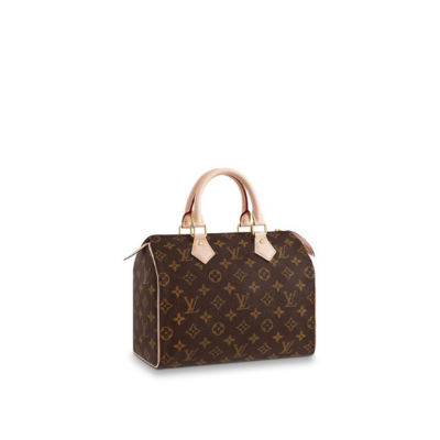 Сумка Louis Vuitton Speedy N