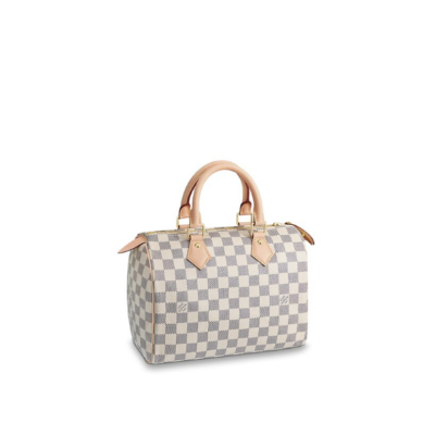 Сумка Louis Vuitton Speedy N