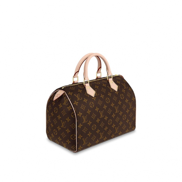 Сумка Louis Vuitton Speedy N