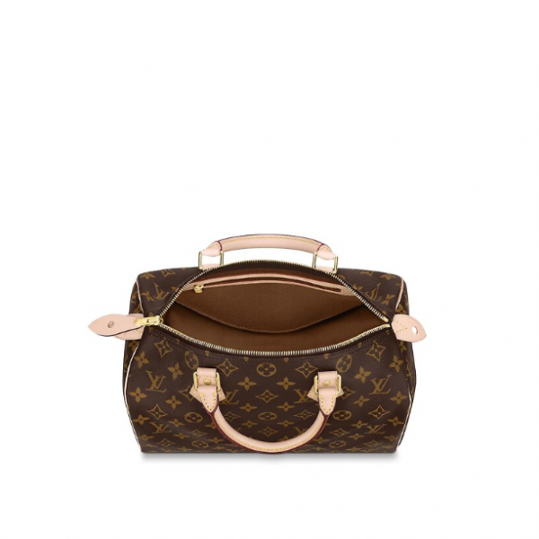 Сумка Louis Vuitton Speedy N