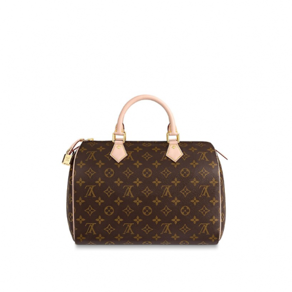 Сумка Louis Vuitton Speedy N