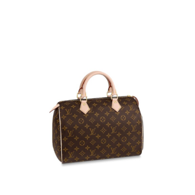 Сумка Louis Vuitton Speedy N