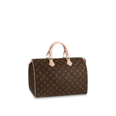 Сумка Louis Vuitton Speedy N