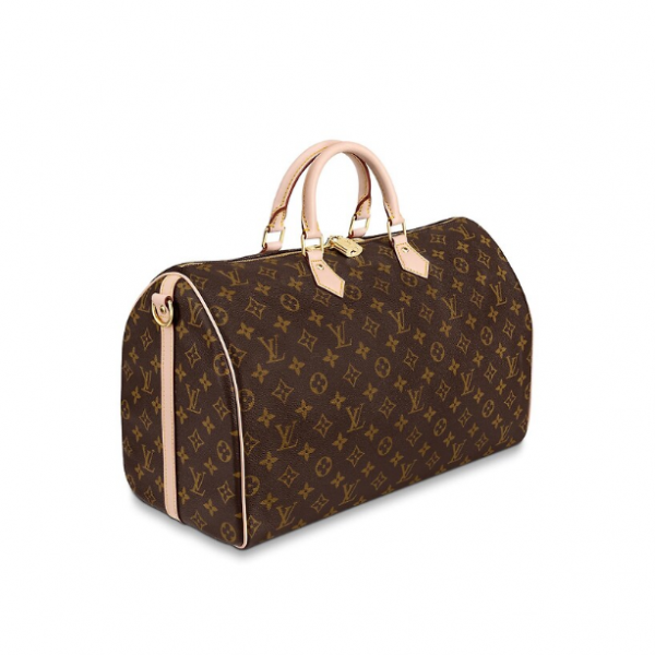 Сумка Louis Vuitton Speedy N
