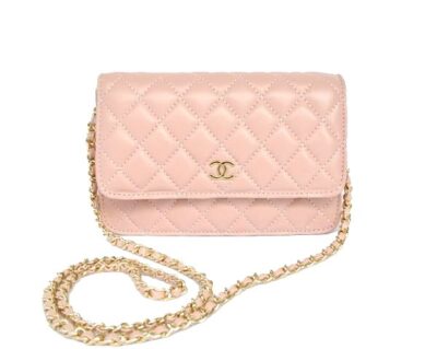 Сумка Chanel Wallet On A Chain N