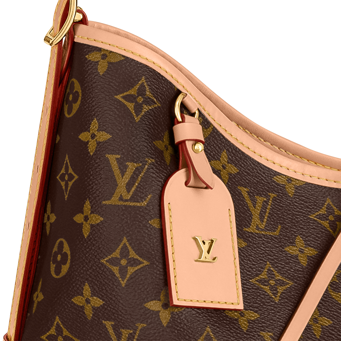 Сумка Louis Vuitton Carry All Mm Коричневая N