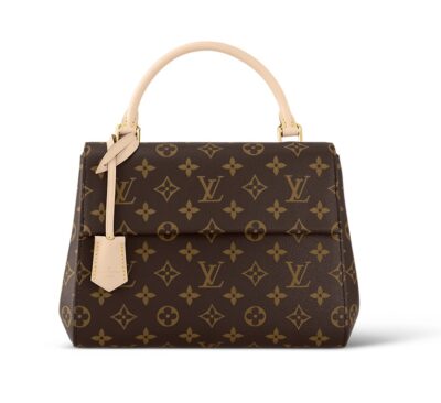 Сумка Louis Vuitton Cluny Bb Коричневая N