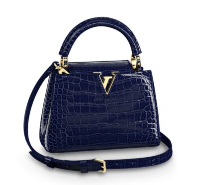 Сумка Louis Vuitton Capucines Mini Синяя N