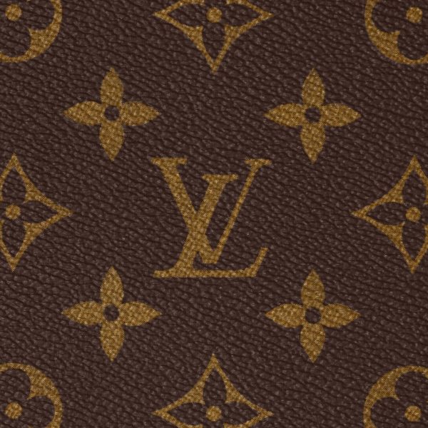 Сумка Louis Vuitton Horizon Коричневая N