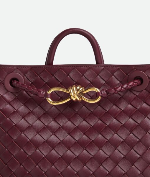 Сумка Bottega Veneta Andiamo Small Бордовая N