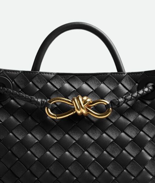 Сумка Bottega Veneta Andiamo Small Черная N