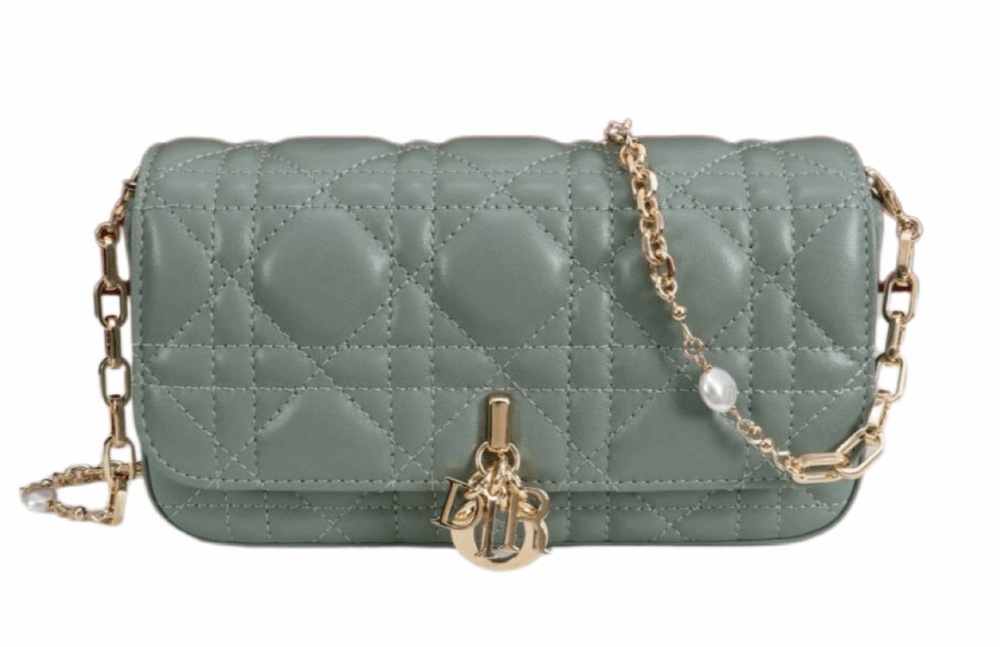 Сумка Dior Talk Phone Pouch Бирюзовая N