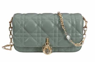 Сумка Dior Talk Phone Pouch Бирюзовая N