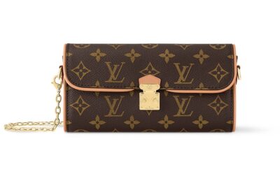 Сумка Louis Vuitton Pochette Camille Коричневая N