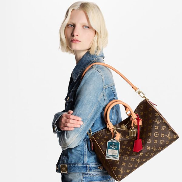 Сумка Louis Vuitton Speedy Soft Crafty Коричневая N