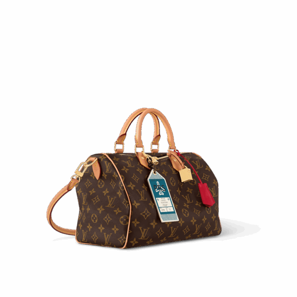 Сумка Louis Vuitton Speedy Soft Crafty Коричневая N