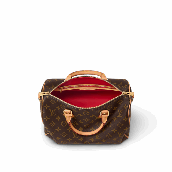 Сумка Louis Vuitton Speedy Soft Crafty Коричневая N