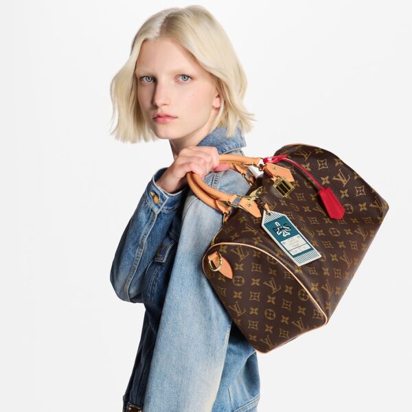 Сумка Louis Vuitton Speedy Soft Crafty Коричневая N