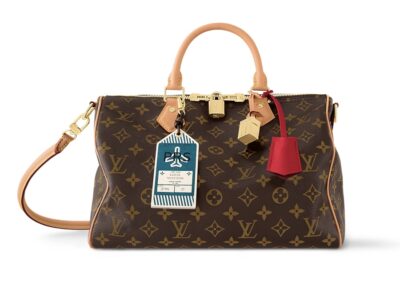Сумка Louis Vuitton Speedy Soft Crafty Коричневая N