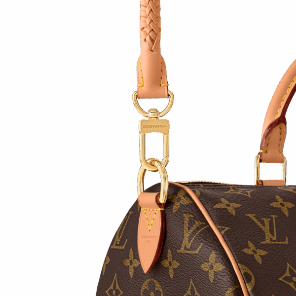 Сумка Louis Vuitton Speedy Soft Lucky Коричневая N