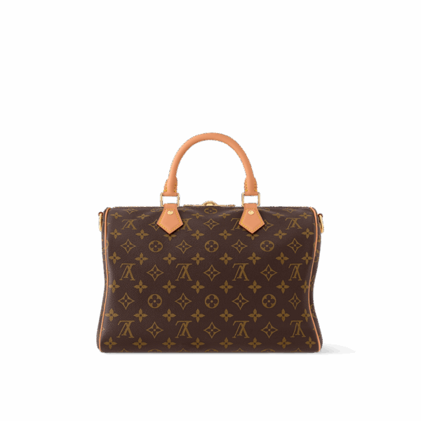 Сумка Louis Vuitton Speedy Soft Lucky Коричневая N