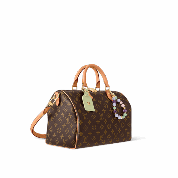 Сумка Louis Vuitton Speedy Soft Lucky Коричневая N