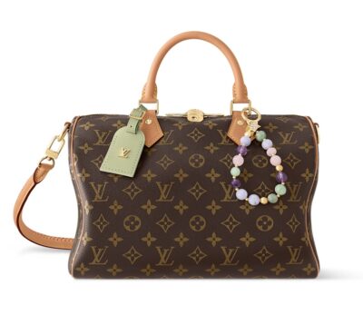 Сумка Louis Vuitton Speedy Soft Lucky Коричневая N