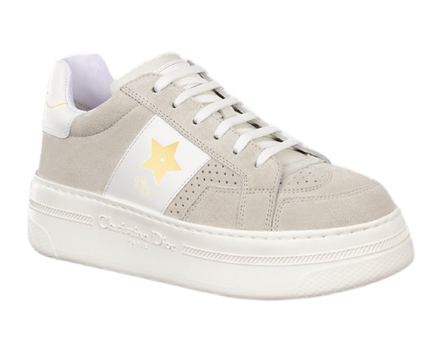 Кроссовки Dior Star F