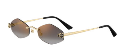 Очки Cartier Panth Золотые F