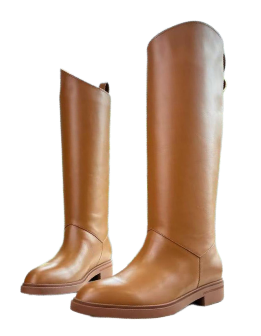 Сапоги Loro Piana Kilda Коричневые F